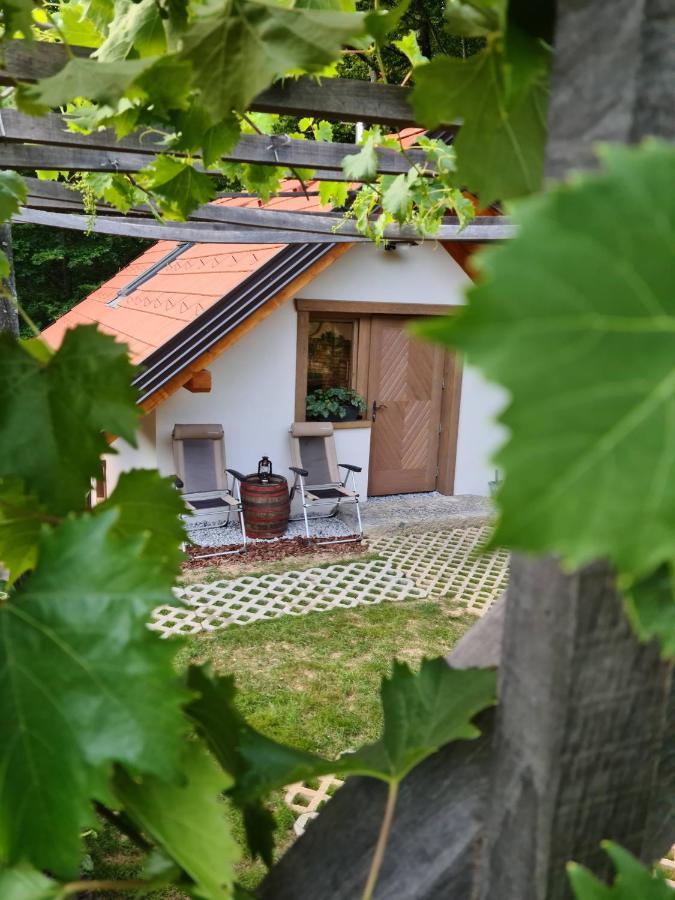 Villa Zidanica Zagar Dolenjske Toplice Exterior foto